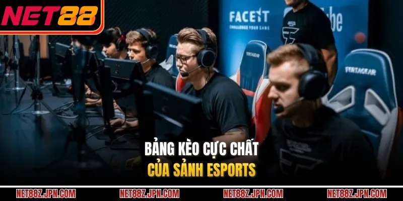 Bảng kèo cực chất của sảnh Esports