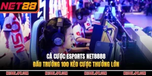 Cá Cược Esports NET8888 - Đấu Trường 100 Kèo Cược Thưởng Lớn