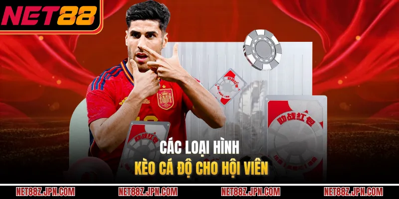 Các loại hình kèo cá độ cho hội viên