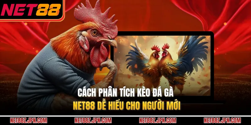 Cách phân tích kèo đá gà NET88 dễ hiểu cho người mới