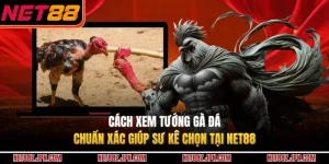Cách Xem Tướng Gà Đá Chuẩn Xác Giúp Sư Kê Chọn Tại NET88