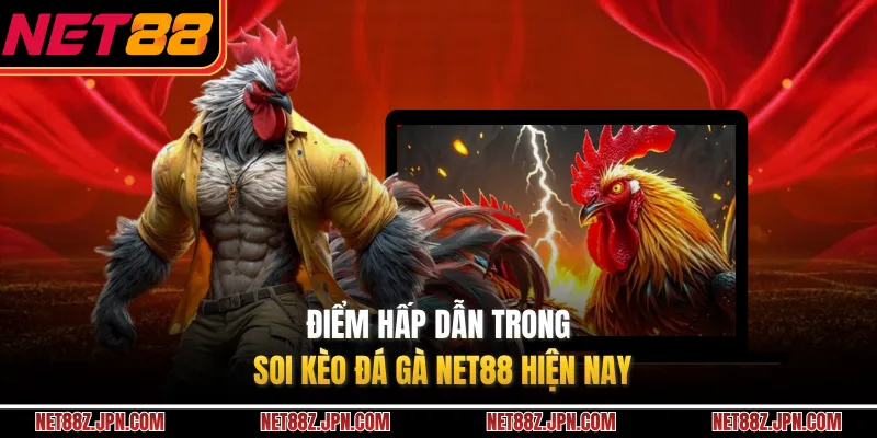 Điểm hấp dẫn trong soi kèo đá gà NET88 hiện nay 