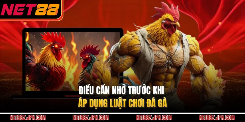 Điều cần nhớ trước khi áp dụng luật chơi đá gà