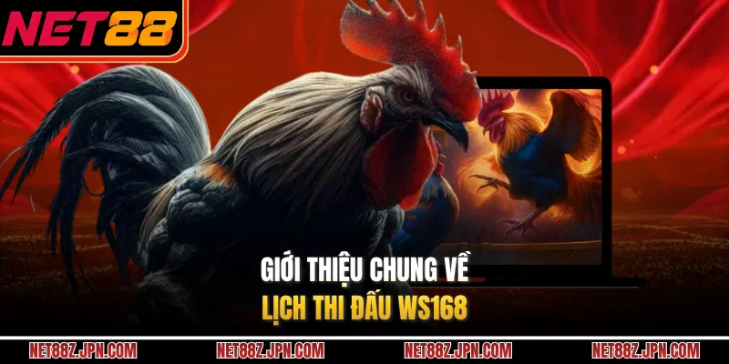 Giới thiệu chung về lịch thi đấu WS168 