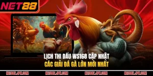 Lịch Thi Đấu WS168 Cập Nhật Các Giải Đá Gà Lớn Mới Nhất