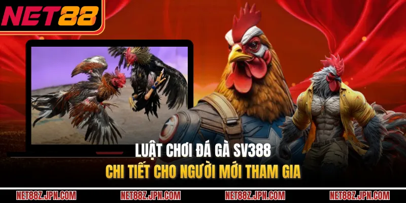 Luật Chơi Đá Gà SV388 Chi Tiết Cho Người Mới Tham Gia