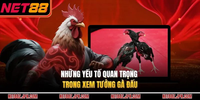 Những yếu tố quan trọng trong xem tướng gà đấu