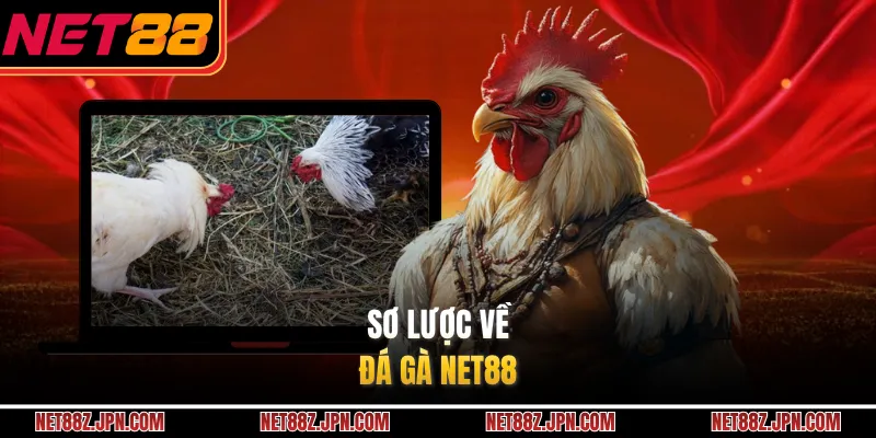 Sơ lược về đá gà NET88 