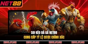 Soi Kèo Đá Gà NET88 Cung Cấp Tỷ Lệ Cược Chính Xác