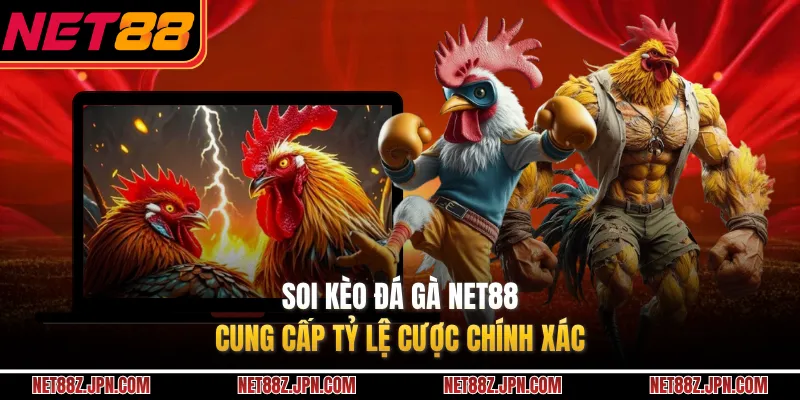 Soi Kèo Đá Gà NET88 Cung Cấp Tỷ Lệ Cược Chính Xác