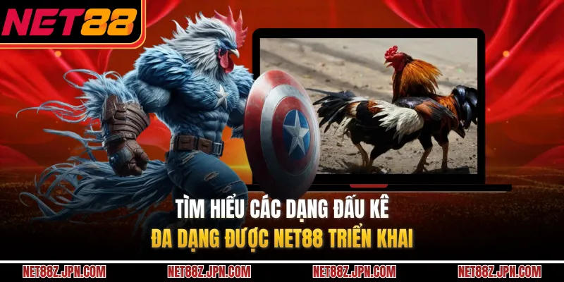 Tìm hiểu các dạng đấu kê đa dạng được NET88 triển khai