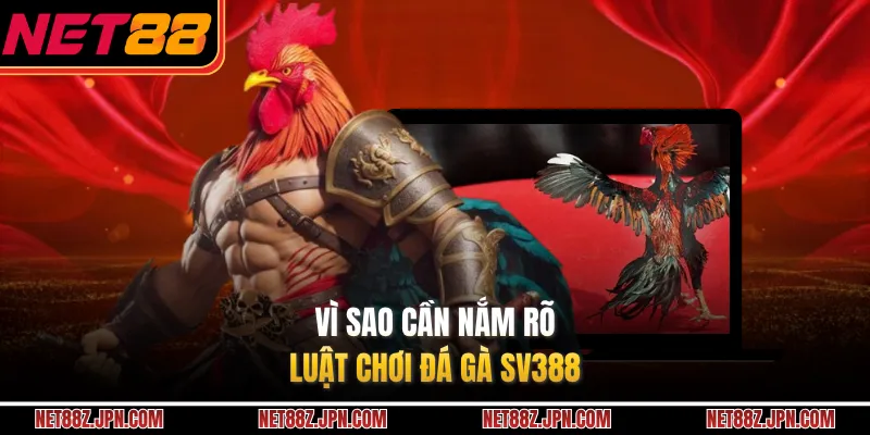 Vì sao cần nắm rõ luật chơi đá gà SV388 